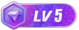 LV5 等级-LV5-网赚项目库-互联网全面项目