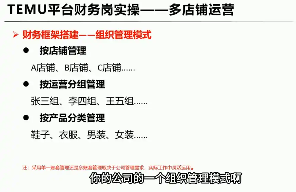 TEMU全盘账务实操课:账单导出、科目设置、利润核算-网赚项目库-互联网全面项目