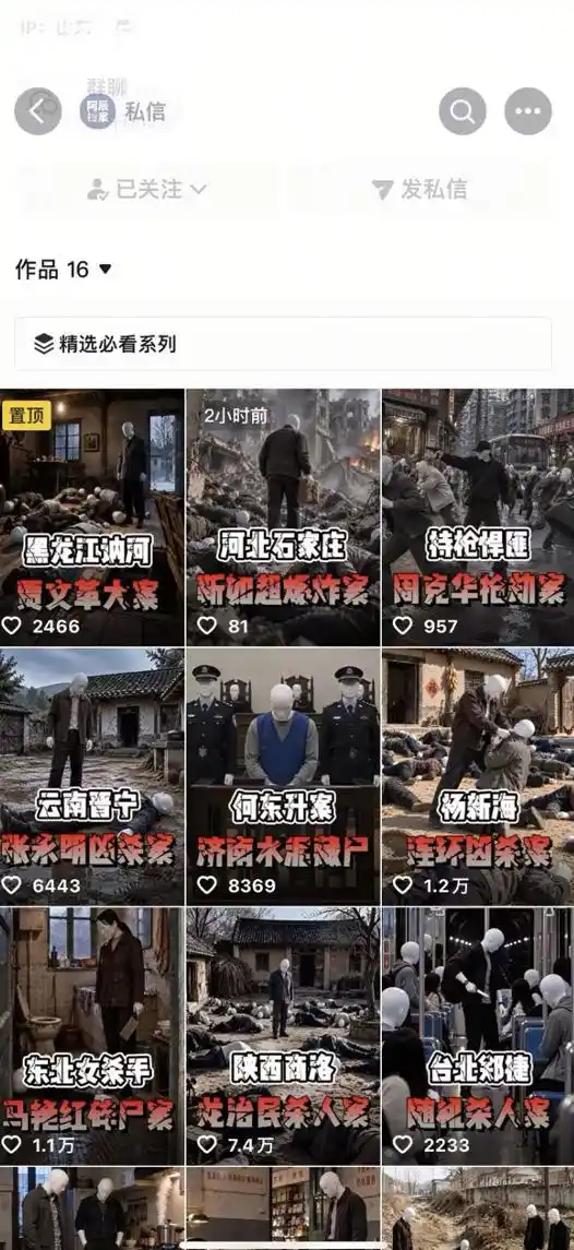 抖音8W粉丝博主的AI纪实大案还原教学,新人也能做出百W播放的悬疑内容,抓住AI风口红利,用AI讲好每一个真实故事(更新1014)-网赚项目库-互联网全面项目