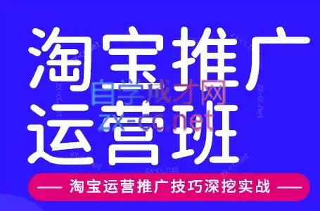 美迪电商·淘宝高级运营班+推广运营班(更新10月)-网赚项目库-互联网全面项目