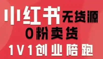 小红书无货源0粉电商课,开店准备、选品策略、笔记撰写、视频剪辑、数据分析、账号打造、资料文档(更新26年09月16日)-网赚项目库-互联网全面项目