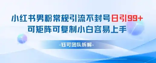 小红书男粉常规引流不封号日引99+变现简单 可矩阵可复制小白容易上手-网赚项目库-互联网全面项目
